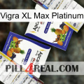 Vigra Xl Max Platinum 12